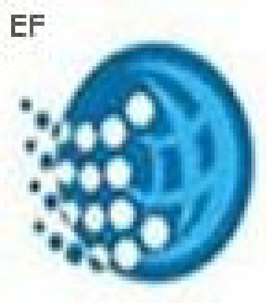 2008中國潔凈展(第十一屆中國國際潔凈技術論壇暨展覽)