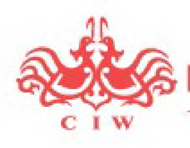 2010夏季中國(上海)婚博會(huì)