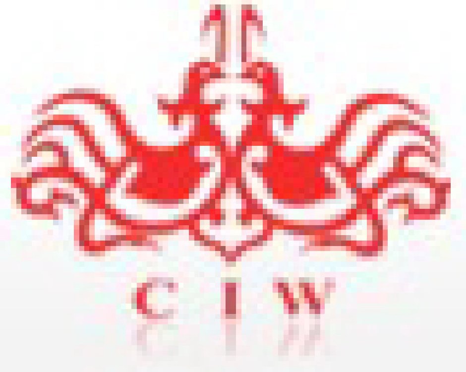 2011春季中國(廣州)婚博會(huì)