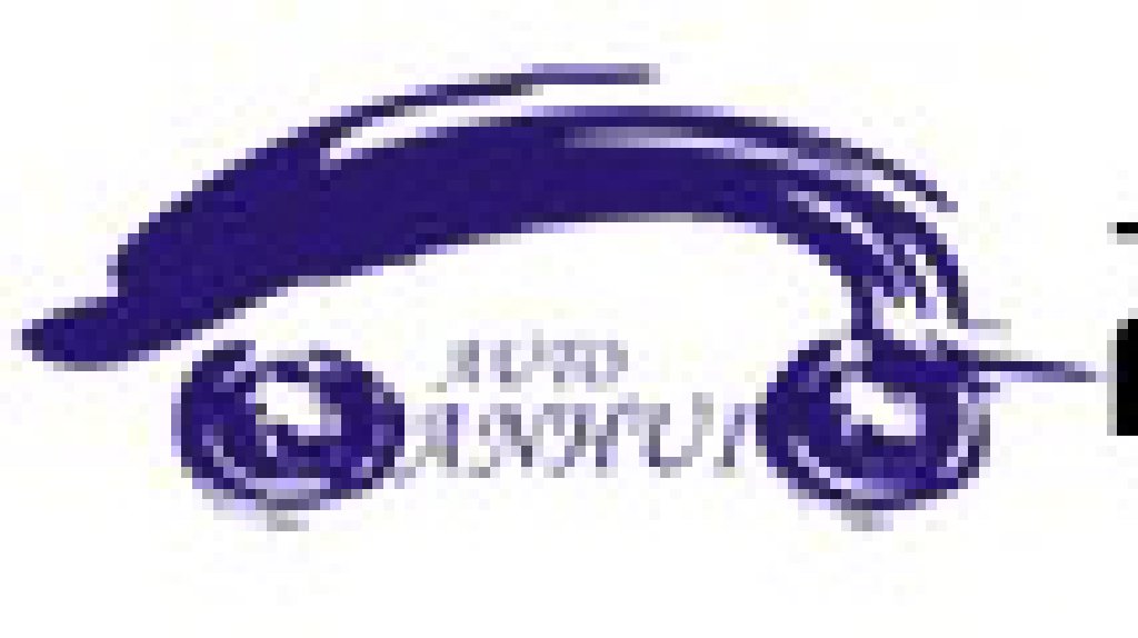 2011第八屆中國(guó)安徽國(guó)際汽車(chē)展覽會(huì)