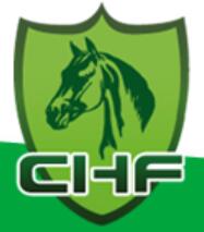 (延期)2022第十四屆中國國際馬業(yè)馬術(shù)展覽會